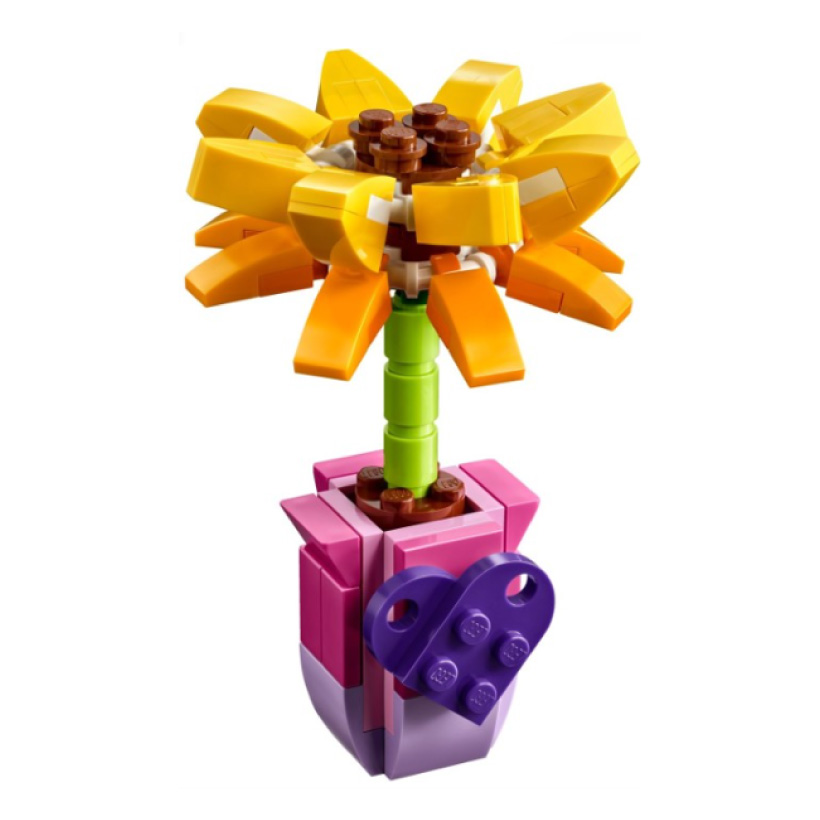 Friendship-Flower-Sunflower-polybag