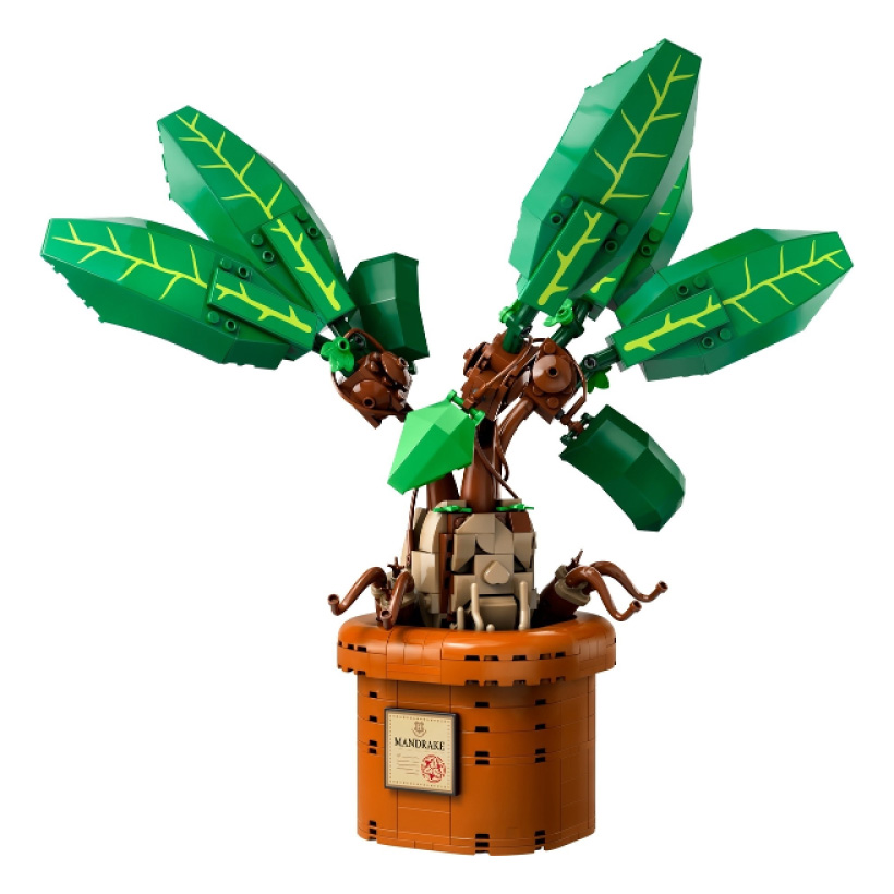 Mandrake